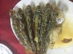 -蛇口康乐快餐鱼仔档(翠苑小区店)