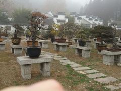 -采石矶景区