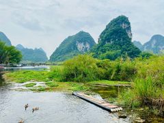 -靖西鹅泉风景区