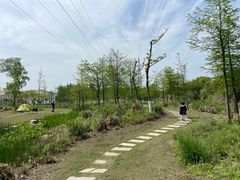 -上海长兴岛郊野公园
