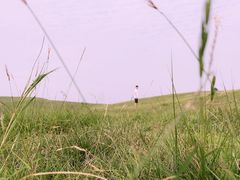-恋山坝上草原