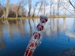 -洱海月湿地公园