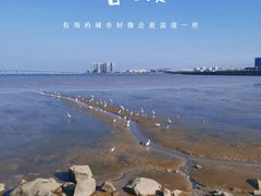 -观澳平台