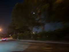 -桃花堤公园