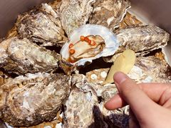 -千岛蚝高压锅生蚝·人参火锅(白云万达店)