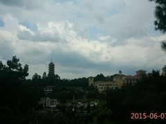 android_upload_pic-三水森林公园