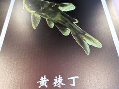 -蛙一刀·麻椒鱼火锅(金仙桥店)