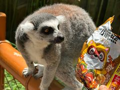 -北京野生动物园