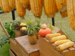 -中国天府农业博览园