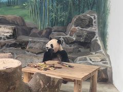 -杭州动物园