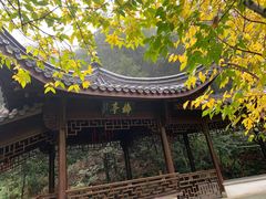 -十八棵（老龙井）御茶园(老龙井店)
