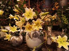 -老广酒楼(樱花店)