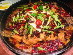 -老板恋上鱼(恒隆广场店)