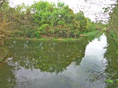 -溱湖国家湿地公园