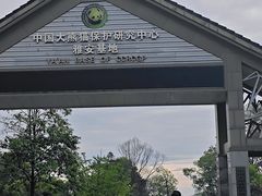 -中国大熊猫保护研究中心雅安碧峰峡基地