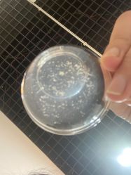 -Cream88颜皮肤管理中心