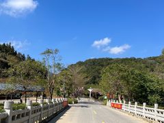 -广州白江湖森林公园