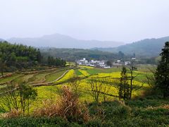 -塔川景区