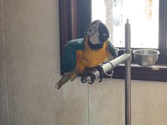 -观桥阁(锦溪店)