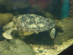 -南京海底世界