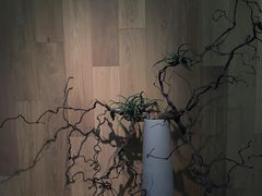 -山下C5cafe(惠通时代广场店)