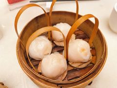 -金鼎轩(方庄天坛店)