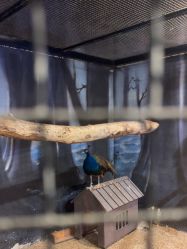 -酷嗒动物文化乐园(cutezoo西溪乐天城店)