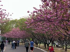 -苏州河梦清园环保主题公园