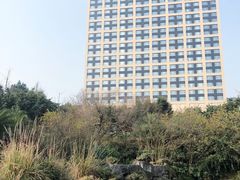 -成都保利公园皇冠假日酒店(熊猫基地店)
