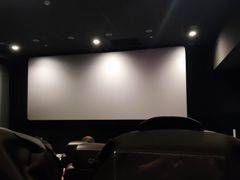 -SFC上影百联影城(八佰伴IMAX店)
