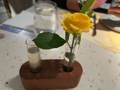 -Tomacado花厨(One ITC店)