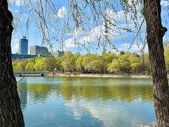 -长春市南湖公园