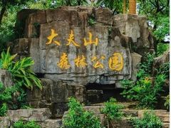 -番禺大夫山森林公园