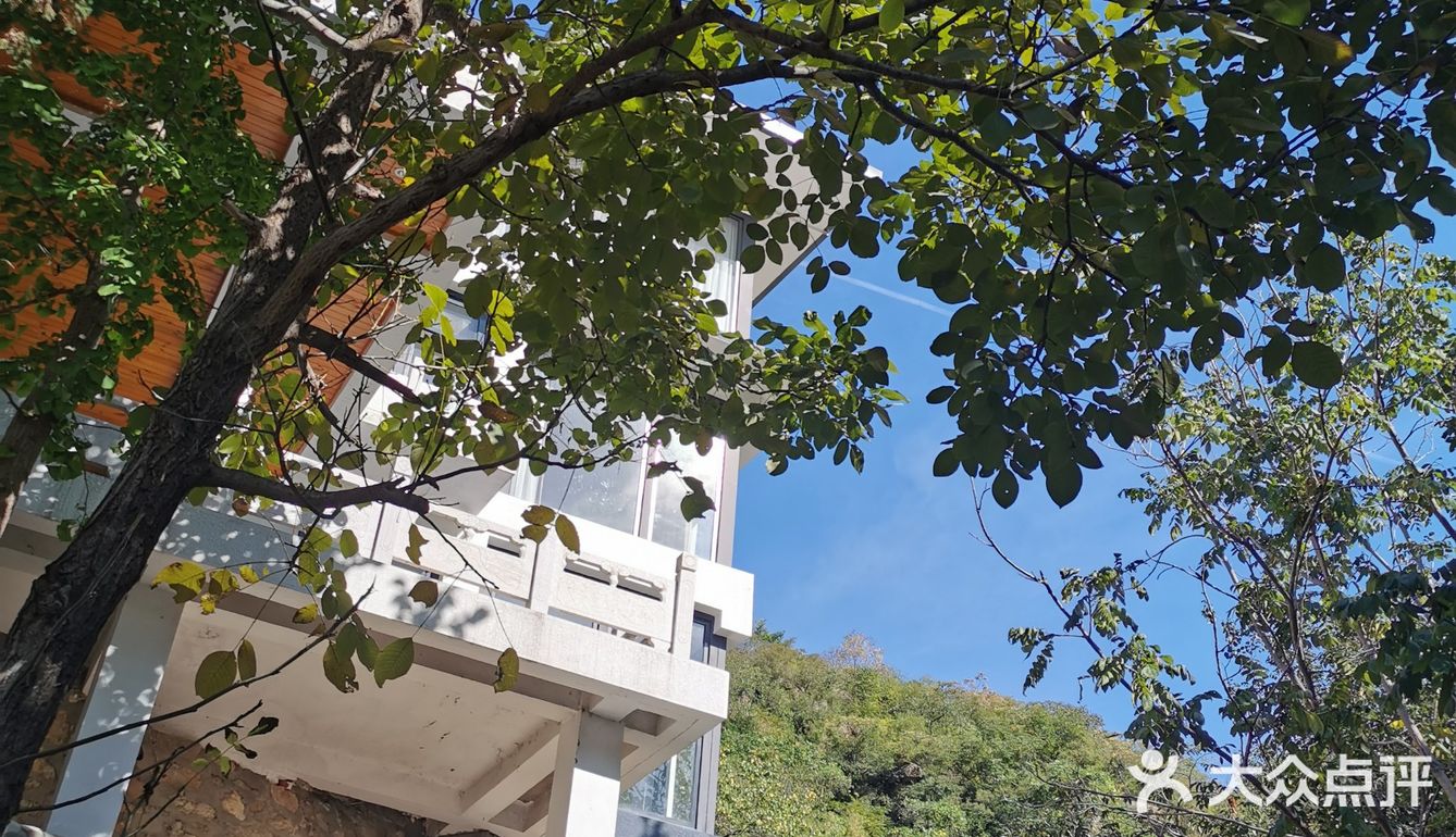 依山而建，满地马陆千足虫和栗子壳儿🌰