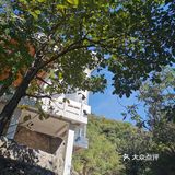 依山而建，满地马陆千足虫和栗子壳儿🌰