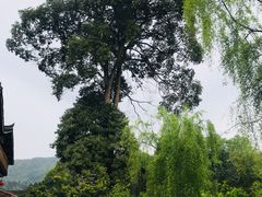 -寨沙侗寨(侗族歌堂)