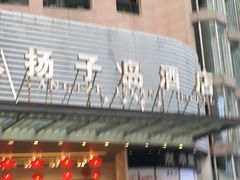 -扬子岛酒店(重庆洪崖洞解放碑店)