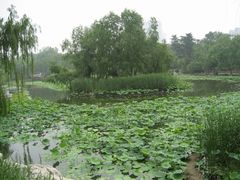 -紫竹院公园冰场