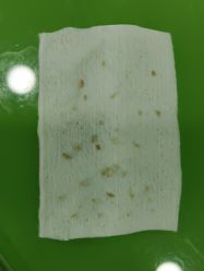 -苗医生专业祛痘·皮肤管理
