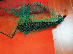 -古城苗家土菜馆(河景餐厅店)