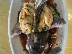 -鸿港海鲜批发市场