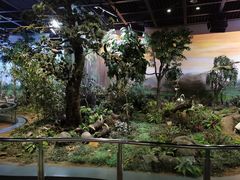 -陕西自然博物馆