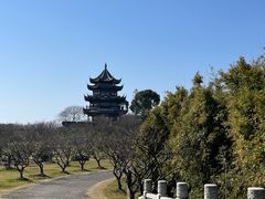 -上海海湾国家森林公园