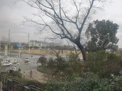 -上海宝华喜来登酒店·采悦轩中餐厅