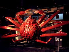 -蟹之国·精品蟹料理(极地店)