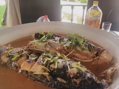 -草根堂农场