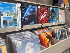 -浣熊唱片店(上海影城店)