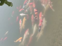 -瑞博尔花园酒店(太周创新产业园店)