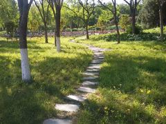 -莲花池公园