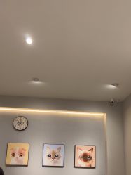 -洗脸猫·洗脸吧